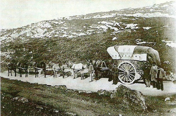 Camino a Treceño a principios de siglo.