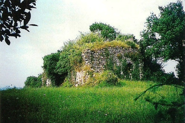 Ruinas de la torre de los Gómez de la Torre, Lamadrid.